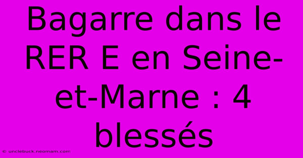 Bagarre Dans Le RER E En Seine-et-Marne : 4 Blessés