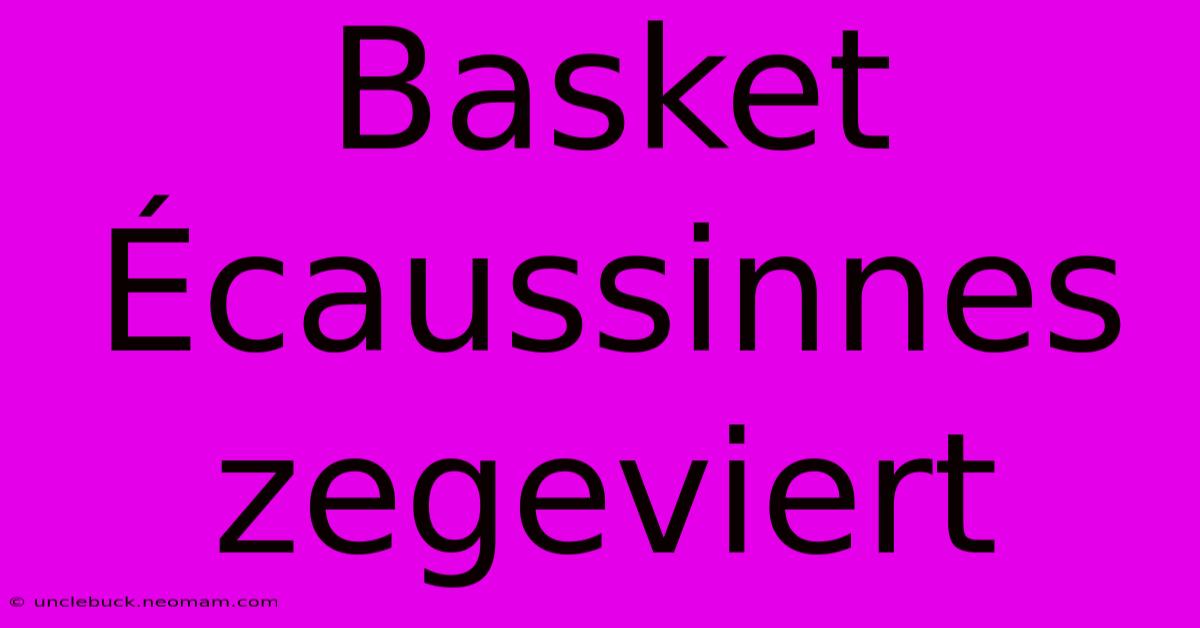 Basket Écaussinnes Zegeviert