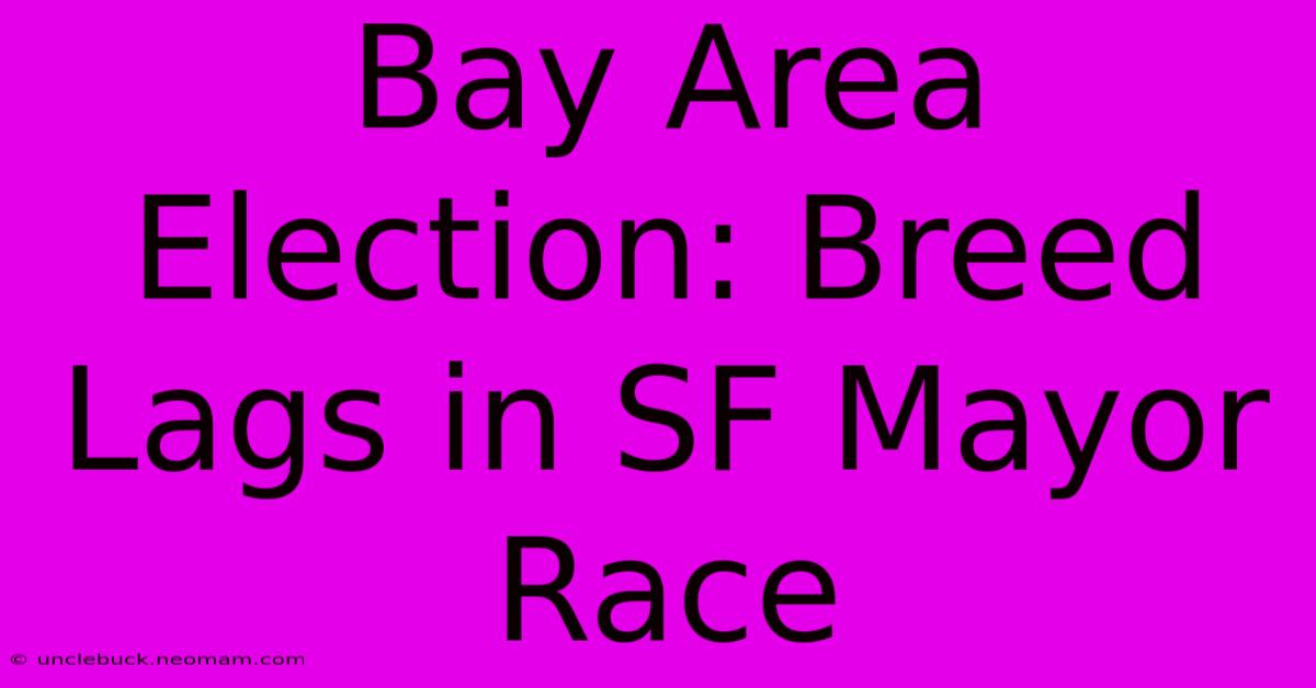 Bay Area Election: Breed Lags In SF Mayor Race