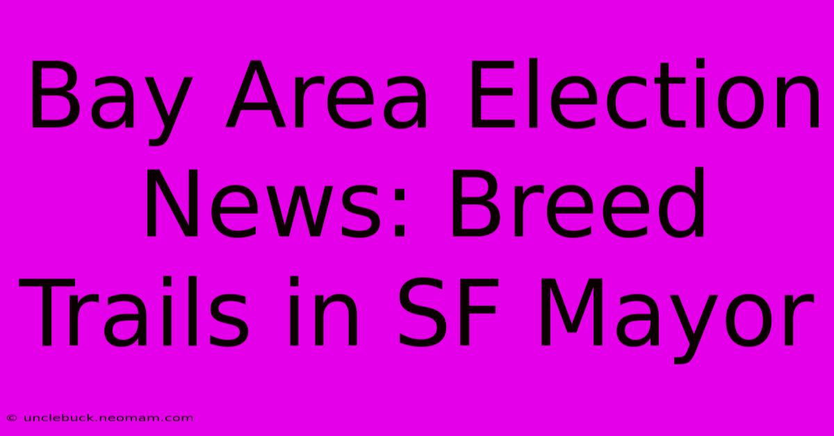 Bay Area Election News: Breed Trails In SF Mayor