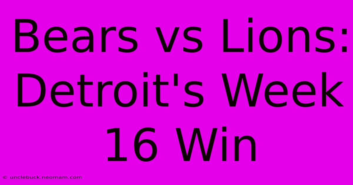 Bears Vs Lions: Detroit's Week 16 Win