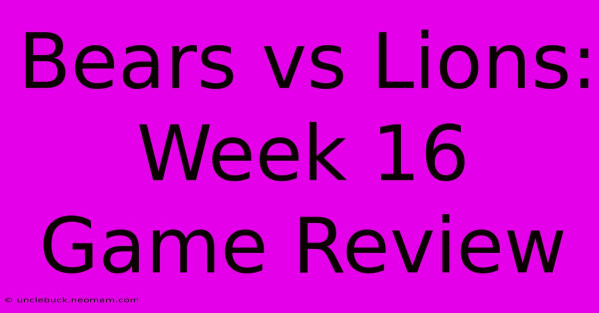 Bears Vs Lions: Week 16 Game Review