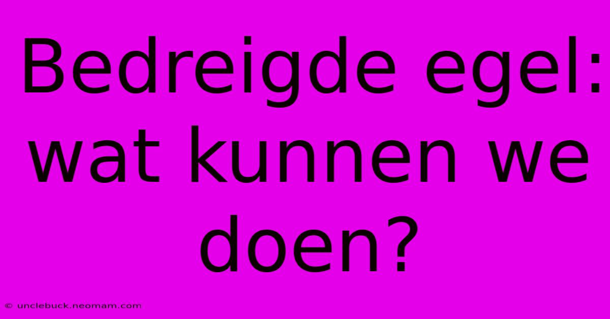 Bedreigde Egel: Wat Kunnen We Doen? 