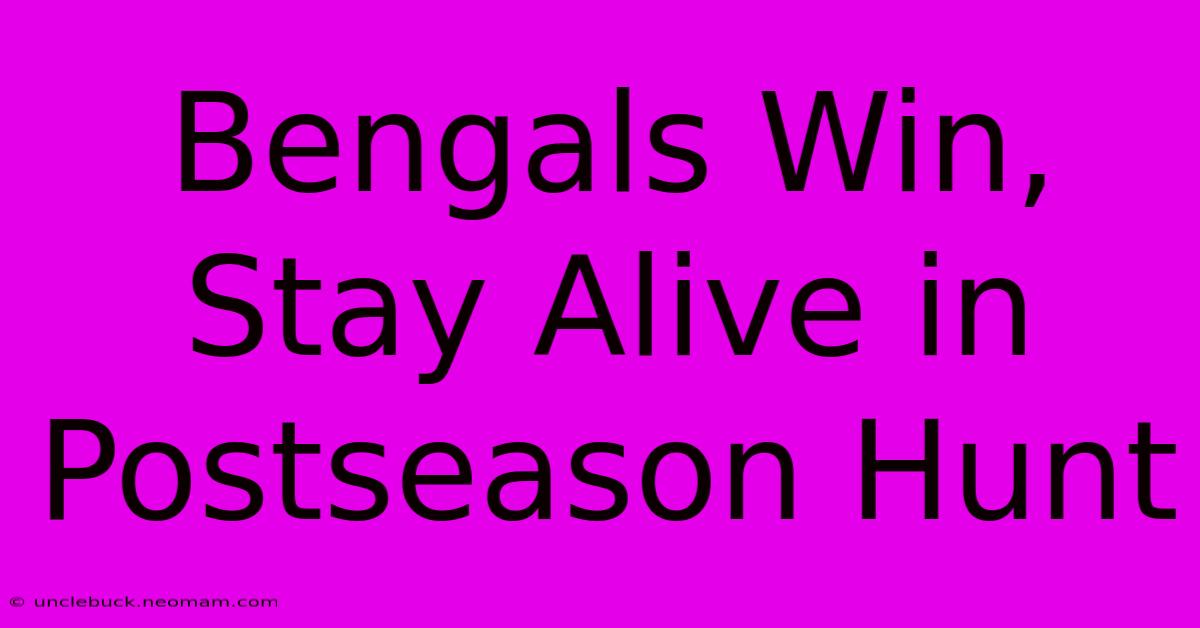 Bengals Win, Stay Alive In Postseason Hunt