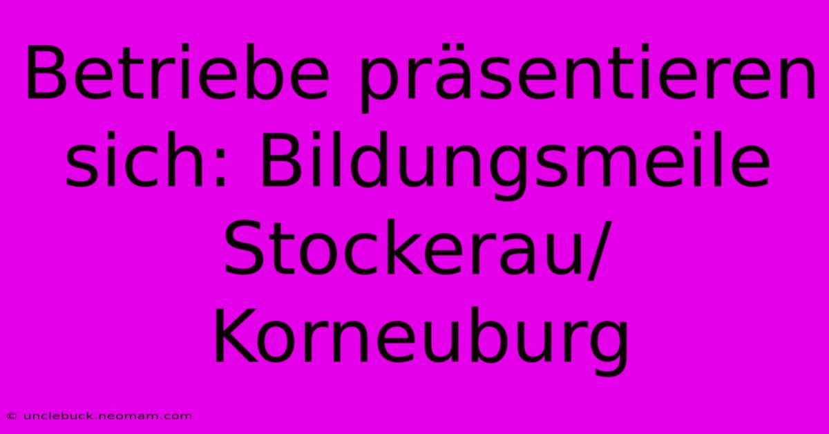 Betriebe Präsentieren Sich: Bildungsmeile Stockerau/Korneuburg 