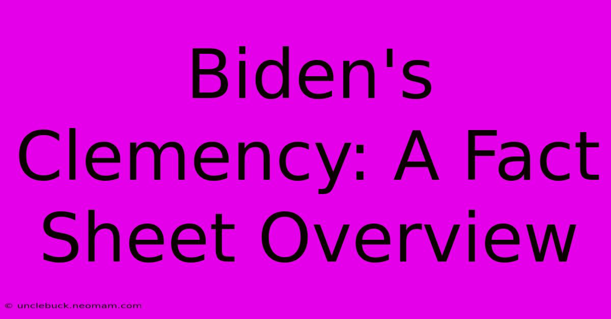 Biden's Clemency: A Fact Sheet Overview