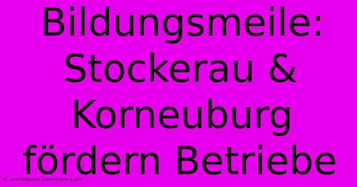 Bildungsmeile: Stockerau & Korneuburg Fördern Betriebe