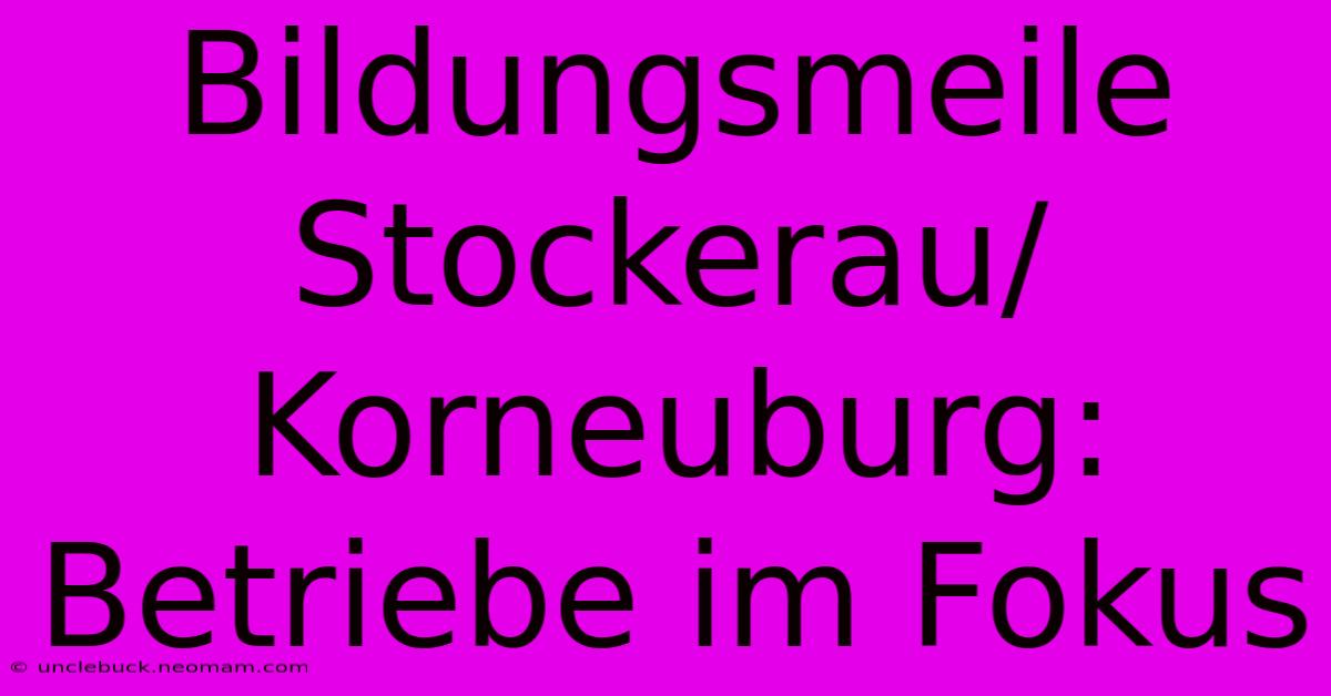 Bildungsmeile Stockerau/Korneuburg: Betriebe Im Fokus