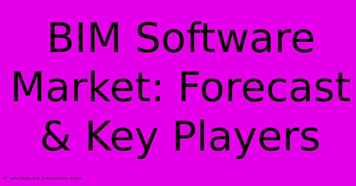 BIM Software Market: Forecast & Key Players