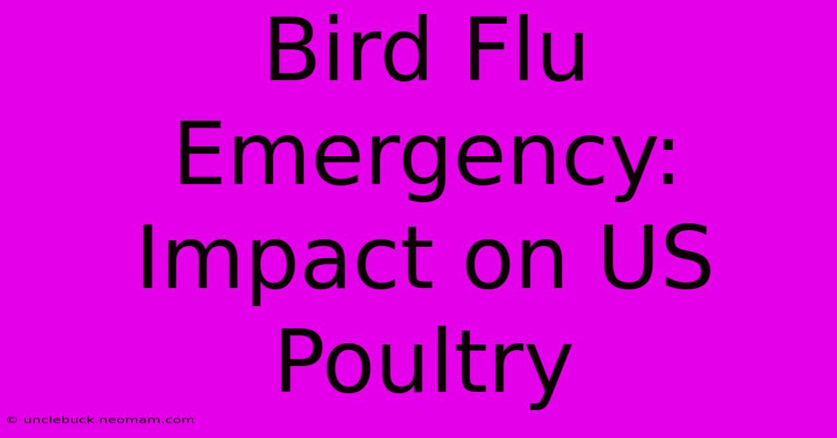 Bird Flu Emergency: Impact On US Poultry