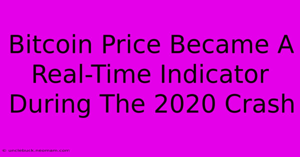 Bitcoin Price Became A Real-Time Indicator During The 2020 Crash