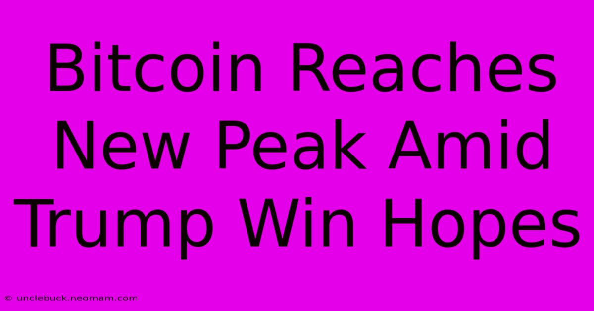 Bitcoin Reaches New Peak Amid Trump Win Hopes