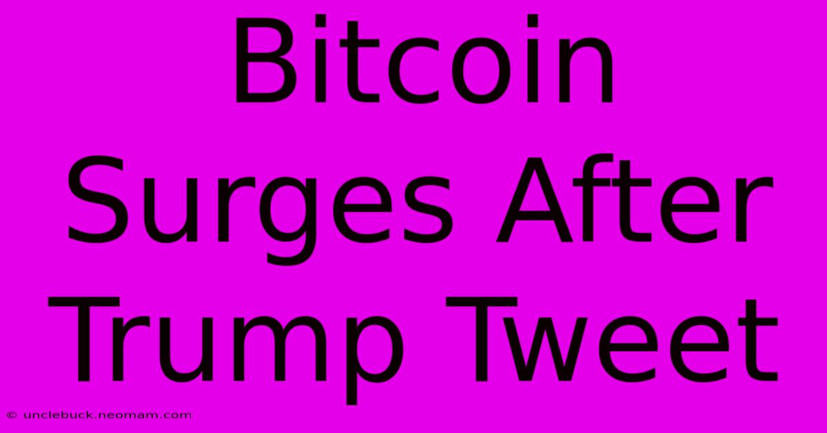 Bitcoin Surges After Trump Tweet