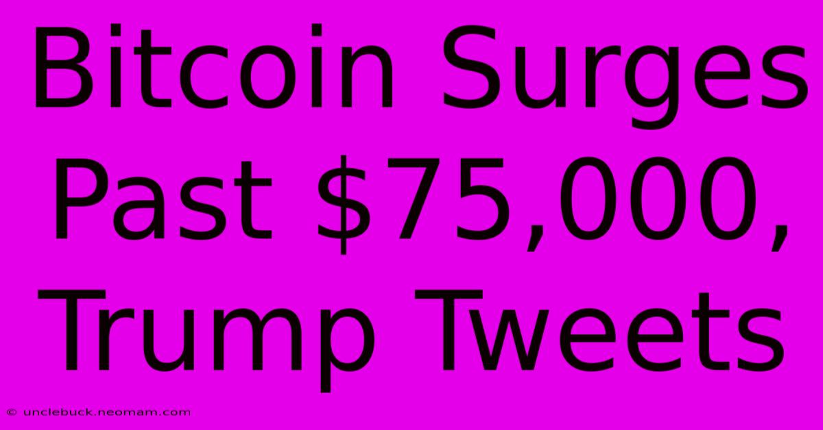 Bitcoin Surges Past $75,000, Trump Tweets