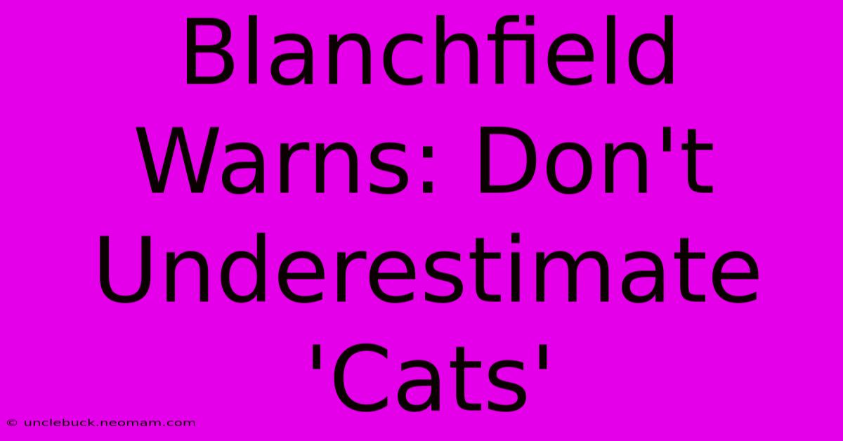 Blanchfield Warns: Don't Underestimate 'Cats'