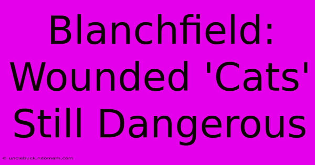 Blanchfield: Wounded 'Cats' Still Dangerous