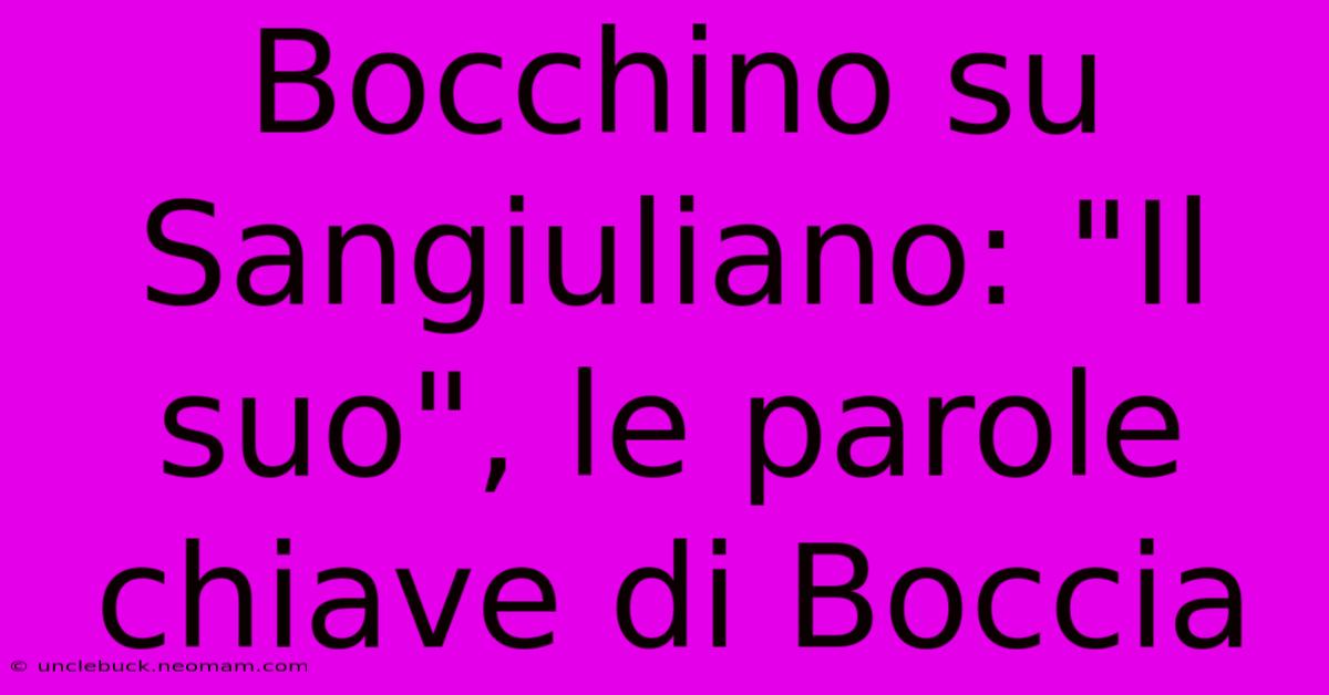 Bocchino Su Sangiuliano: 