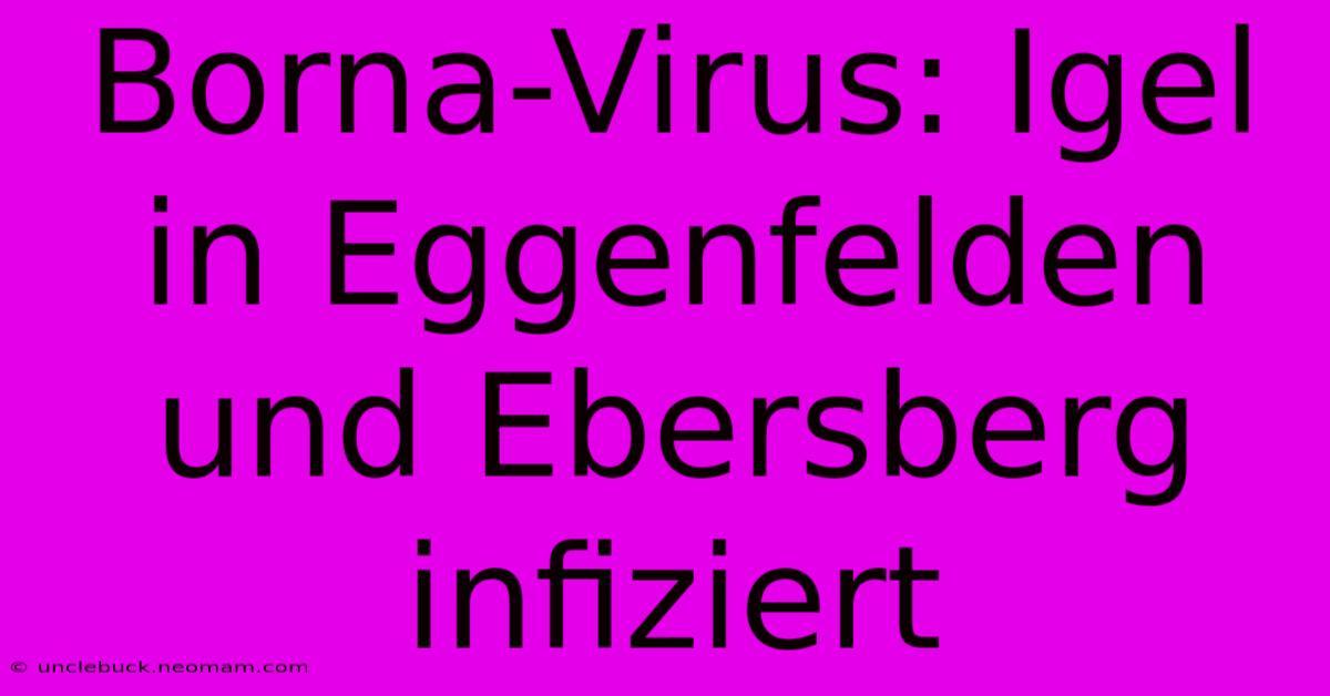 Borna-Virus: Igel In Eggenfelden Und Ebersberg Infiziert