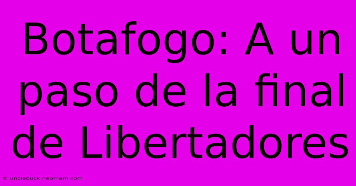 Botafogo: A Un Paso De La Final De Libertadores