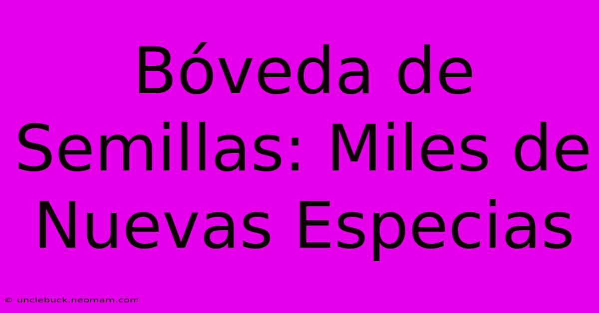 Bóveda De Semillas: Miles De Nuevas Especias