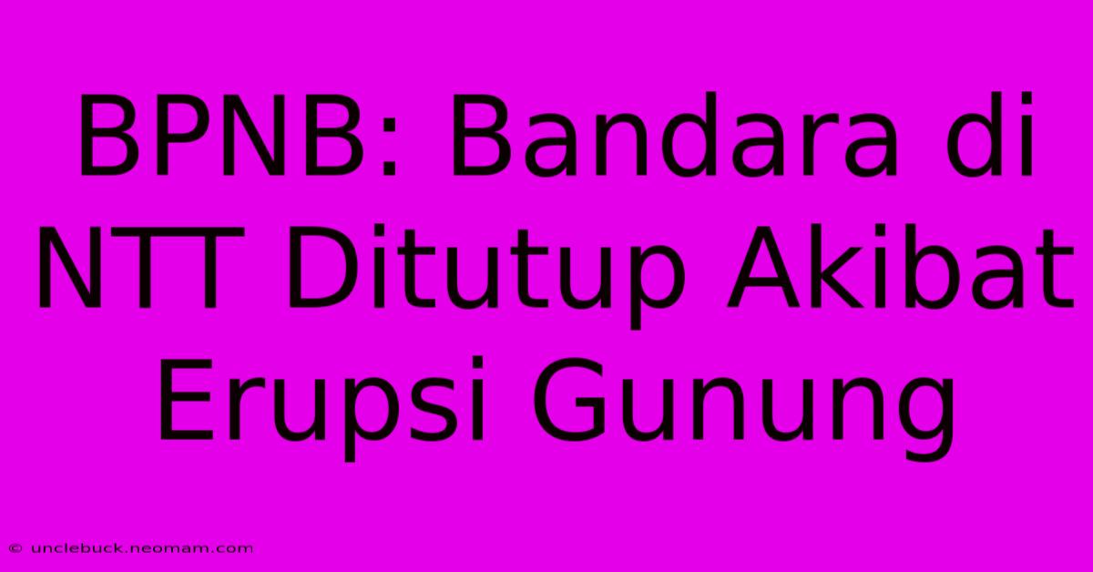 BPNB: Bandara Di NTT Ditutup Akibat Erupsi Gunung