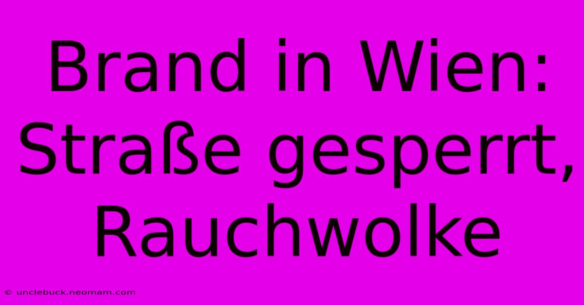 Brand In Wien: Straße Gesperrt, Rauchwolke