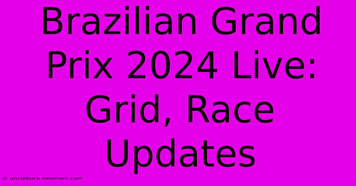 Brazilian Grand Prix 2024 Live: Grid, Race Updates