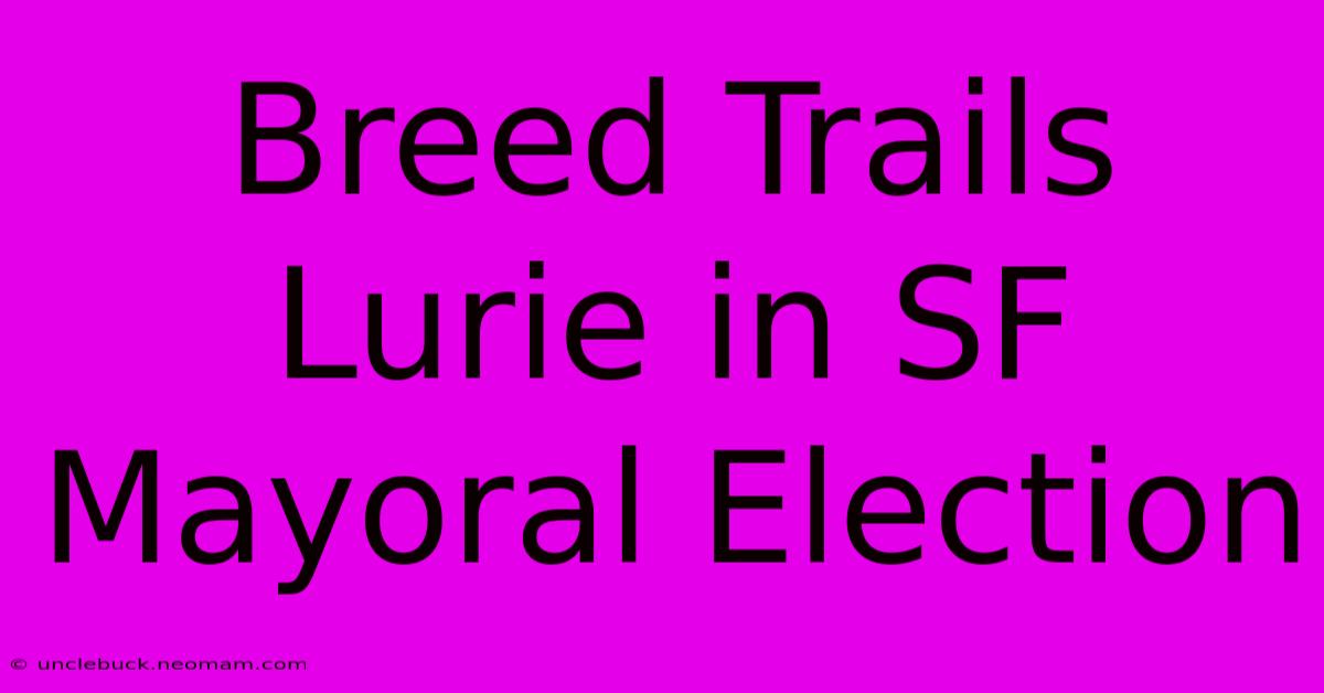 Breed Trails Lurie In SF Mayoral Election 