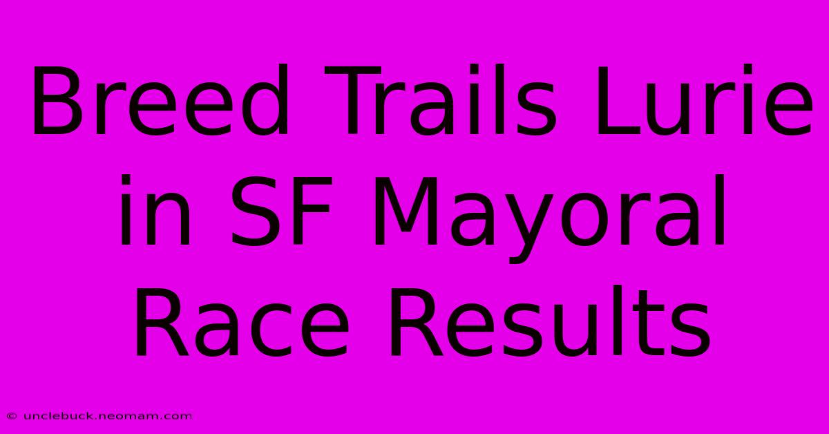 Breed Trails Lurie In SF Mayoral Race Results