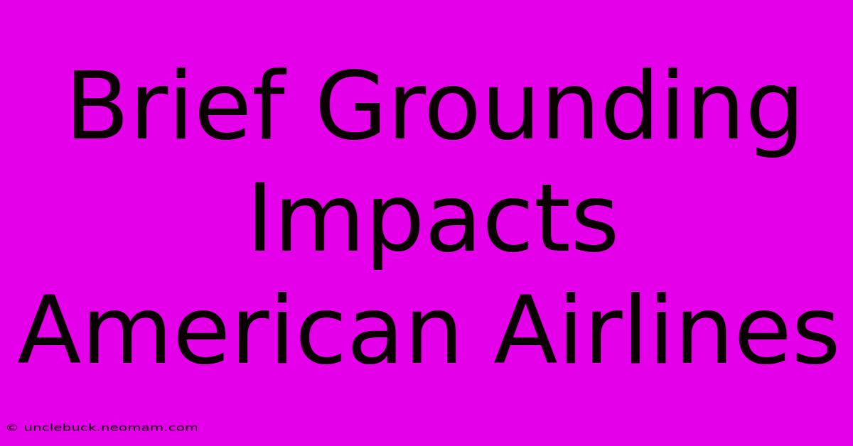 Brief Grounding Impacts American Airlines