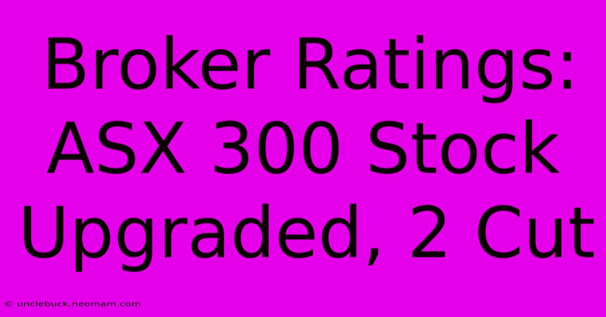 Broker Ratings: ASX 300 Stock Upgraded, 2 Cut