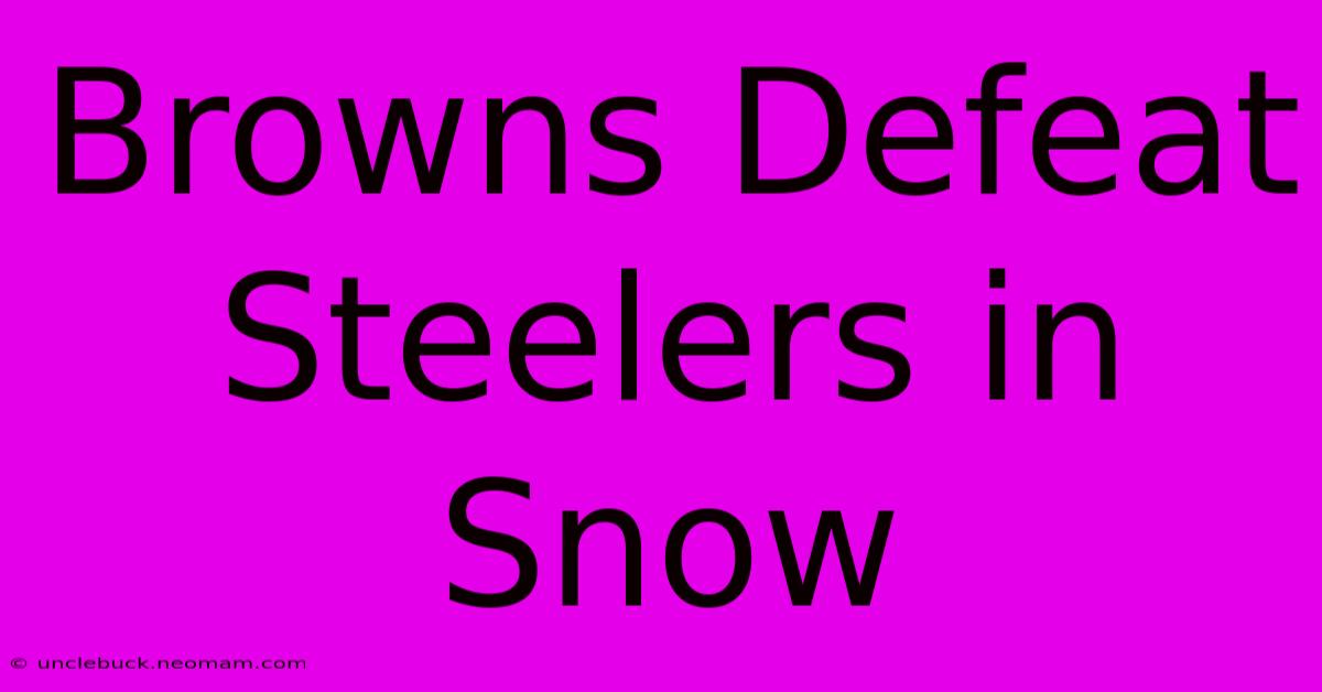 Browns Defeat Steelers In Snow