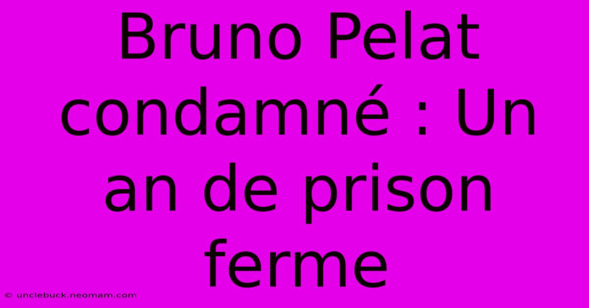 Bruno Pelat Condamné : Un An De Prison Ferme