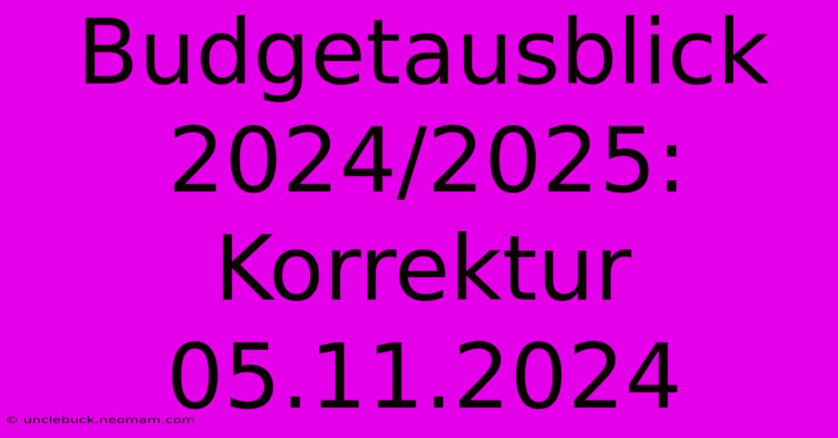 Budgetausblick 2024/2025: Korrektur 05.11.2024