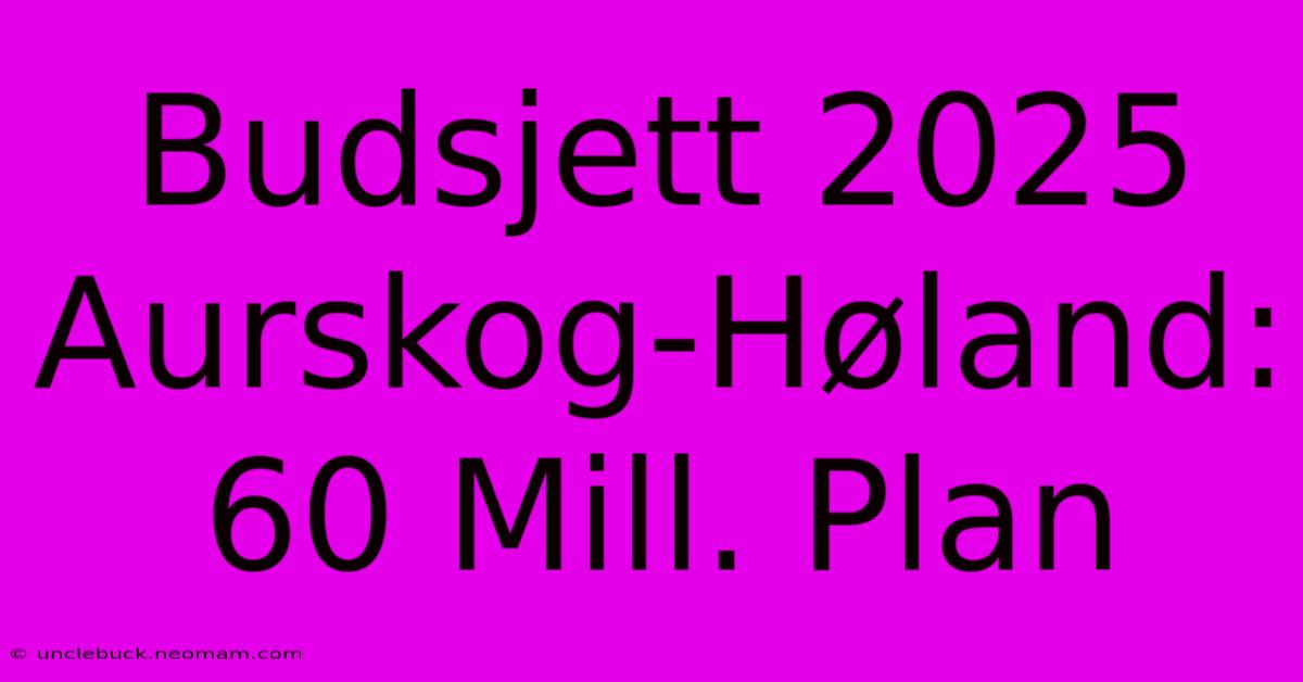 Budsjett 2025 Aurskog-Høland: 60 Mill. Plan