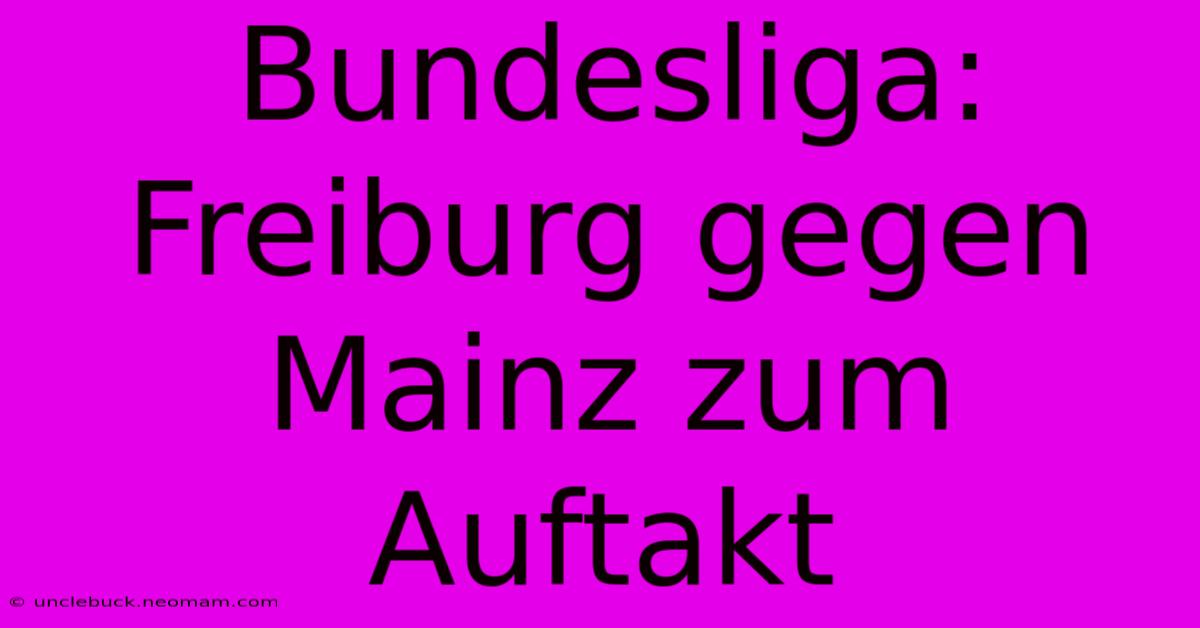 Bundesliga: Freiburg Gegen Mainz Zum Auftakt