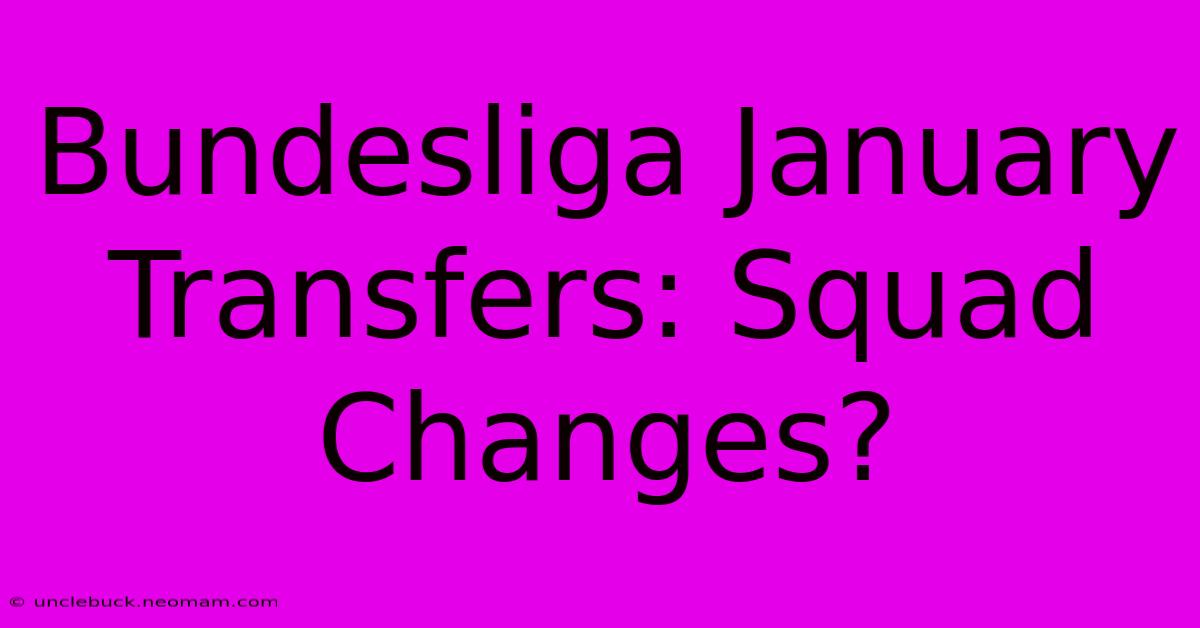 Bundesliga January Transfers: Squad Changes?