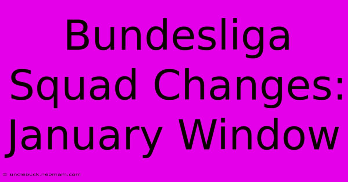 Bundesliga Squad Changes: January Window