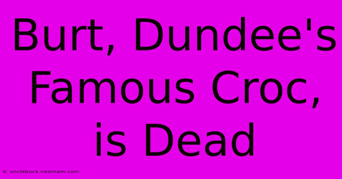 Burt, Dundee's Famous Croc, Is Dead