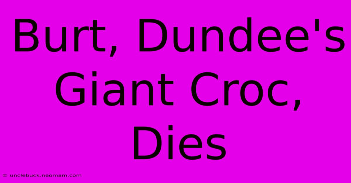 Burt, Dundee's Giant Croc, Dies