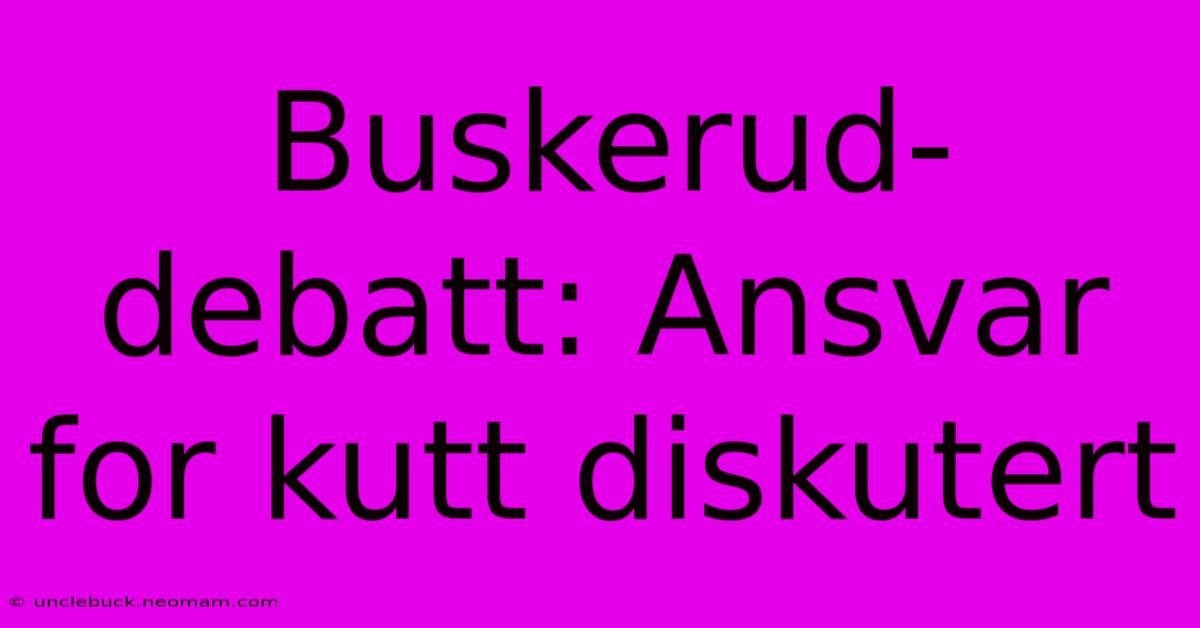 Buskerud-debatt: Ansvar For Kutt Diskutert