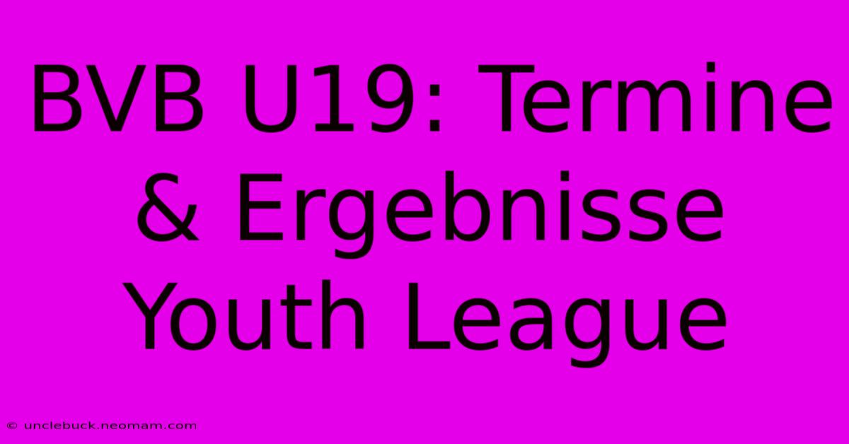 BVB U19: Termine & Ergebnisse Youth League