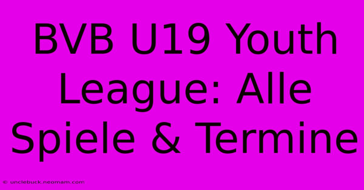 BVB U19 Youth League: Alle Spiele & Termine