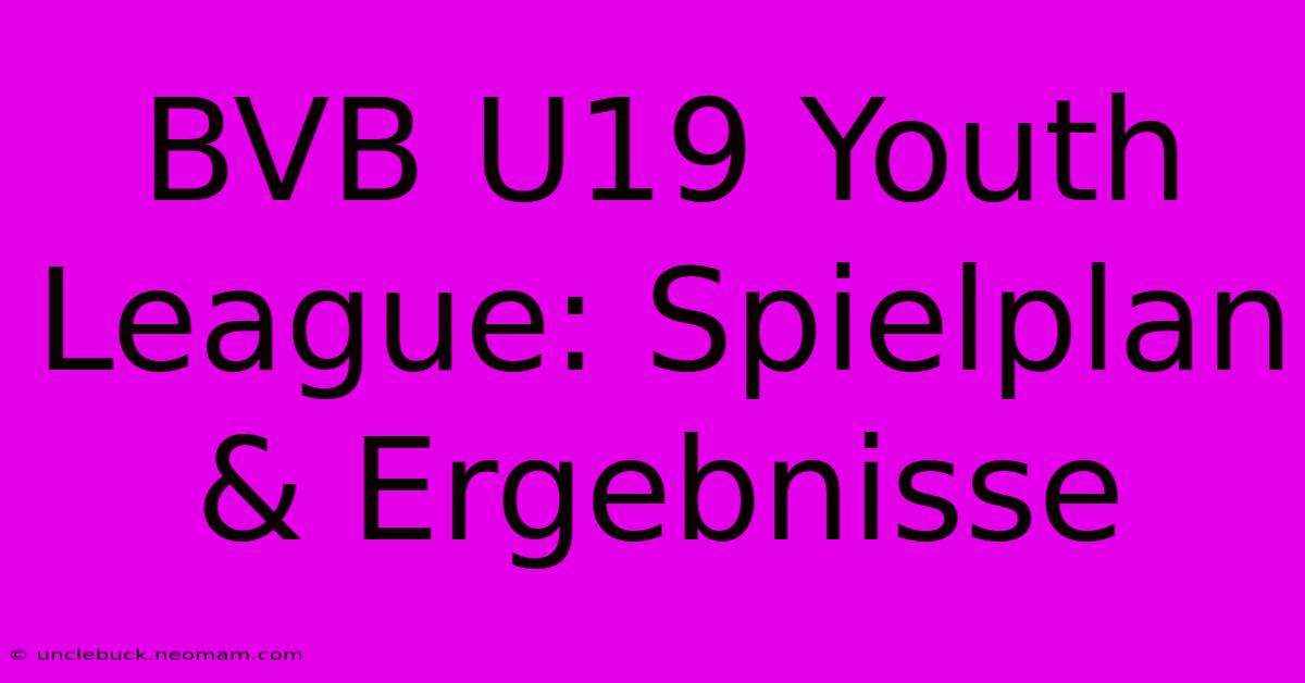 BVB U19 Youth League: Spielplan & Ergebnisse