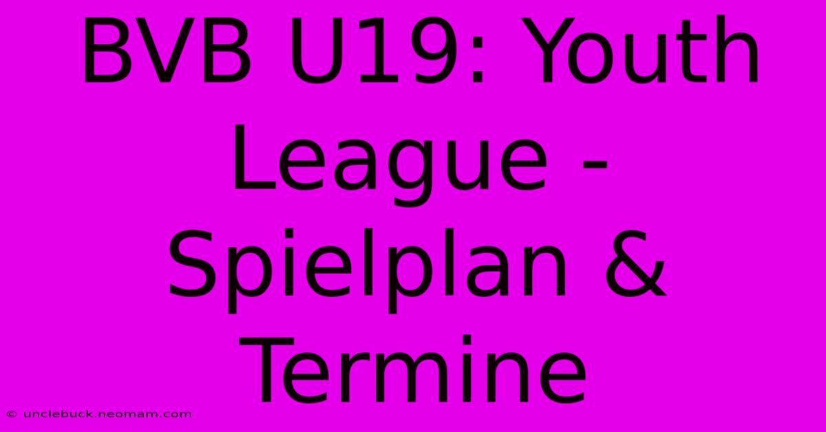 BVB U19: Youth League - Spielplan & Termine