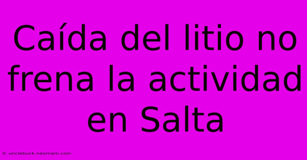 Caída Del Litio No Frena La Actividad En Salta