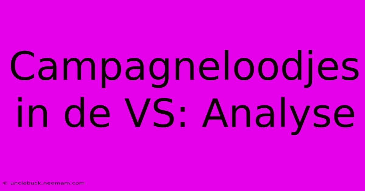 Campagneloodjes In De VS: Analyse