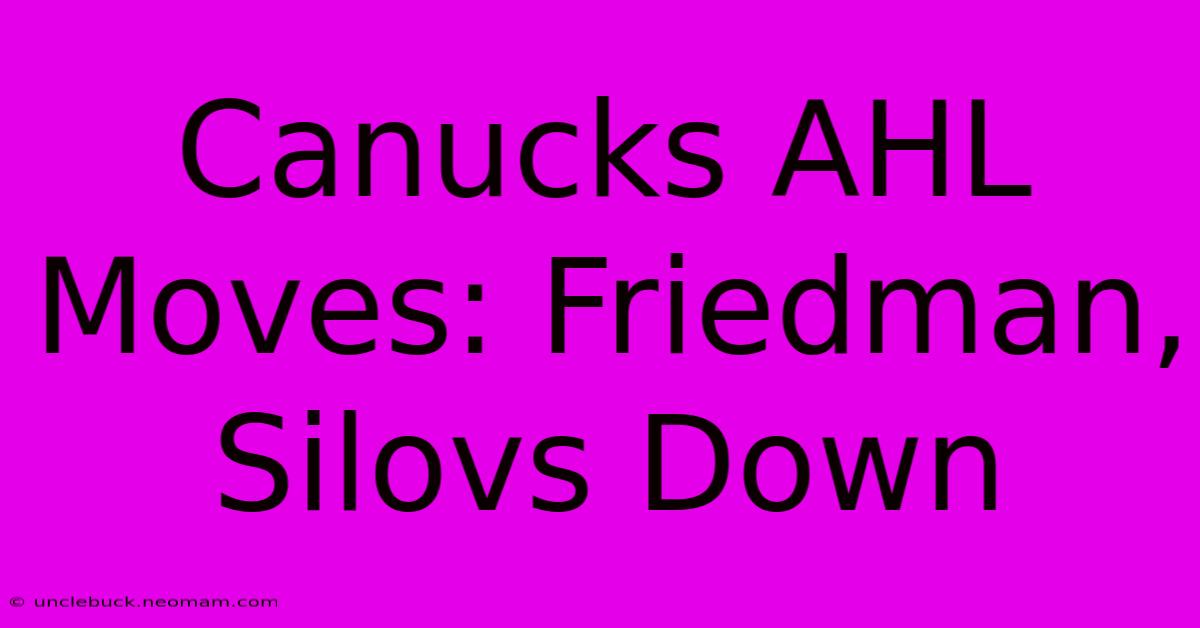 Canucks AHL Moves: Friedman, Silovs Down