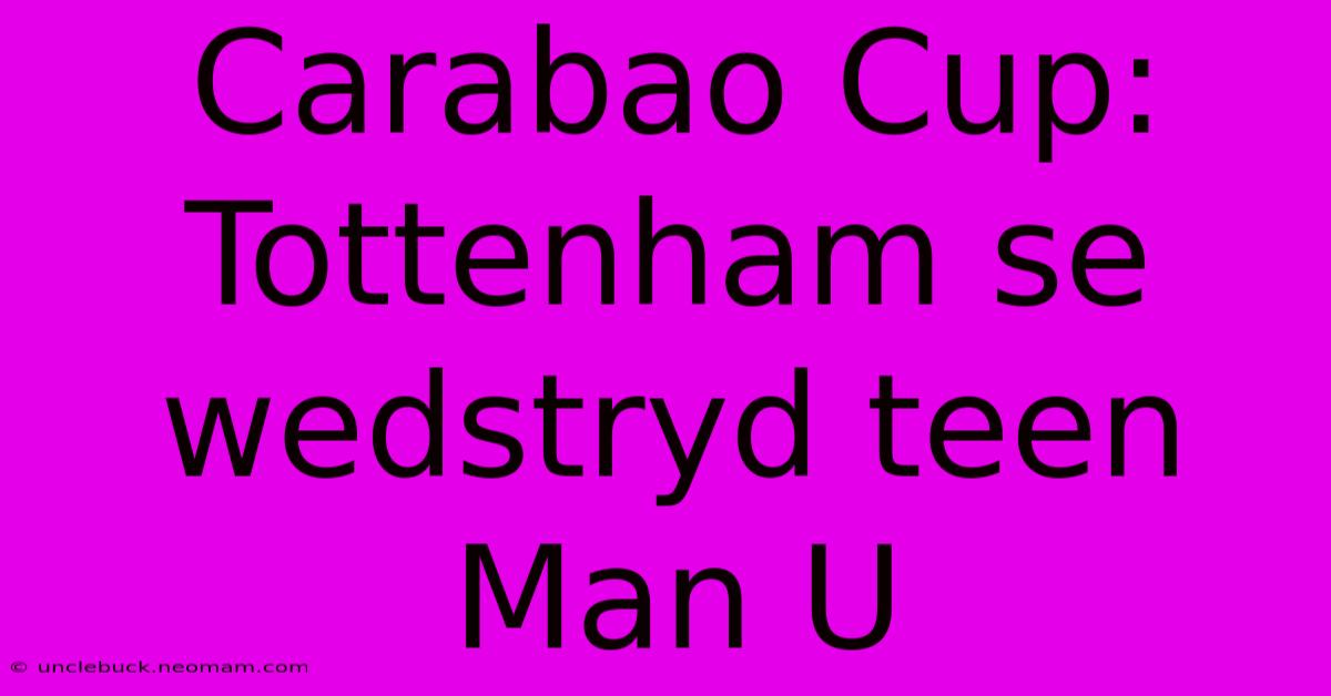 Carabao Cup: Tottenham Se Wedstryd Teen Man U