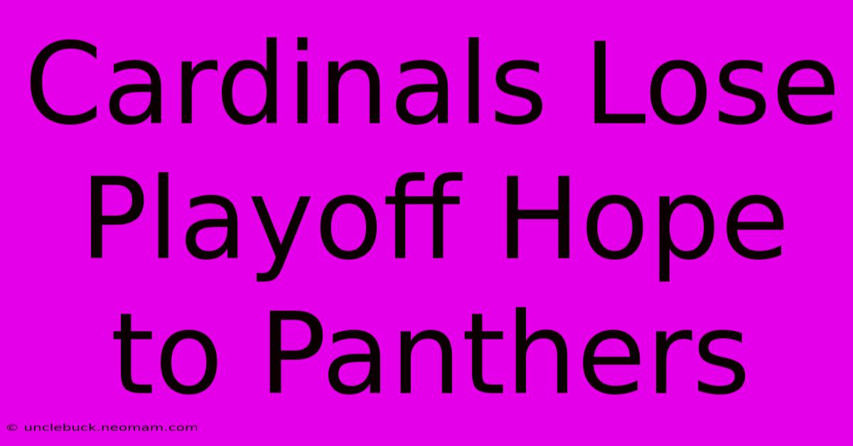 Cardinals Lose Playoff Hope To Panthers